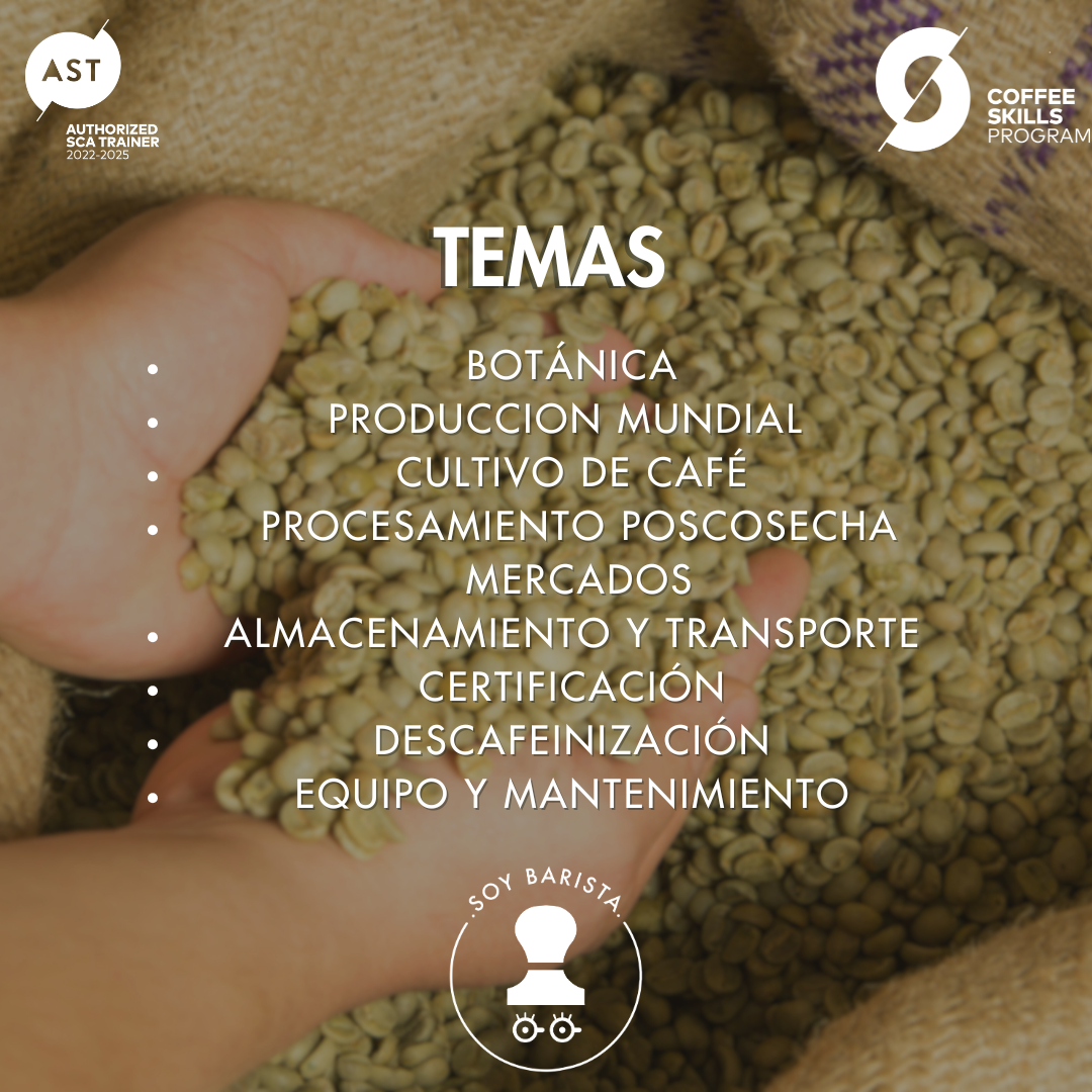 Green Coffee Fundamentos