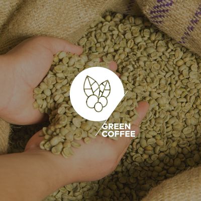 Green Coffee Fundamentos