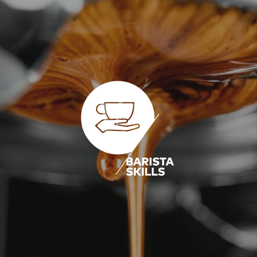 Barista Skills Fundamentos