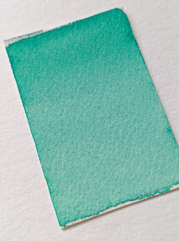 Stronger mint -Handgemachte Aquarellfarbe- Landschaft, Urban, Botanik, Naturmalerei