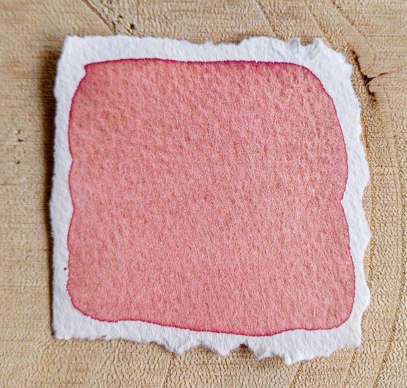 Korallentanz -Handgemachte Aquarellfarbe-Künstlerqualität, hoch pigmentiert, Künstlerbedarf, Malbedarf, Profi Aquarellfarben