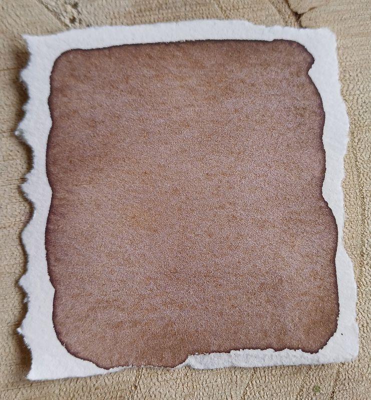 Sepia bloom -Handgefertigte Aquarellfarbe-Künstlerqualität, hoch pigmentiert, Geschenkidee für Malerinnen