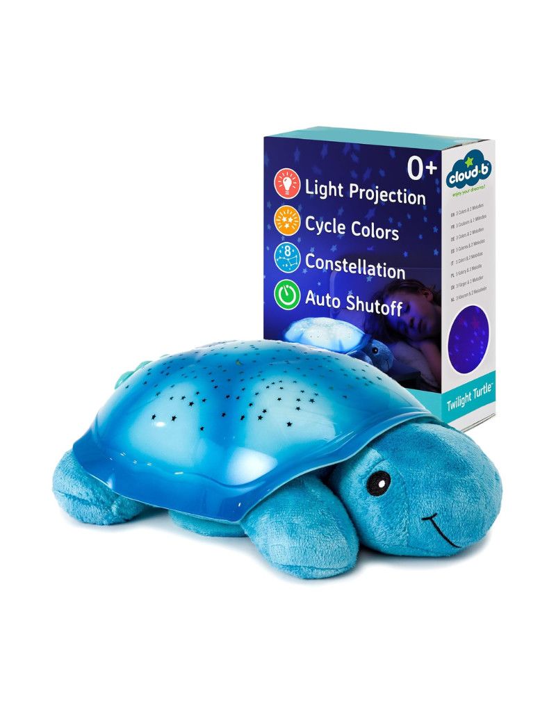 Twilight Turtle