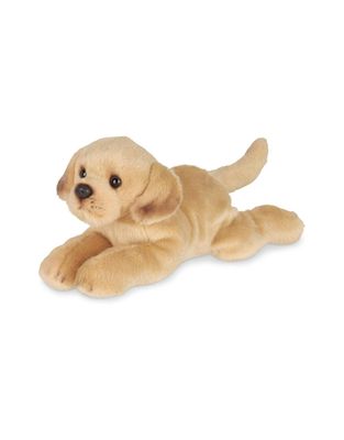 Lil&#39; Tanner the Yellow Lab