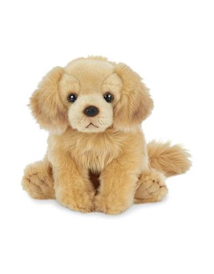 Goldie the Golden Retriever