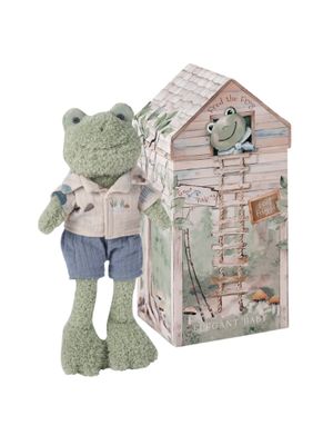 Frog Plush Boxed Toy