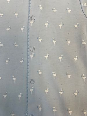 Light Blue Baby Stork Conv Gown