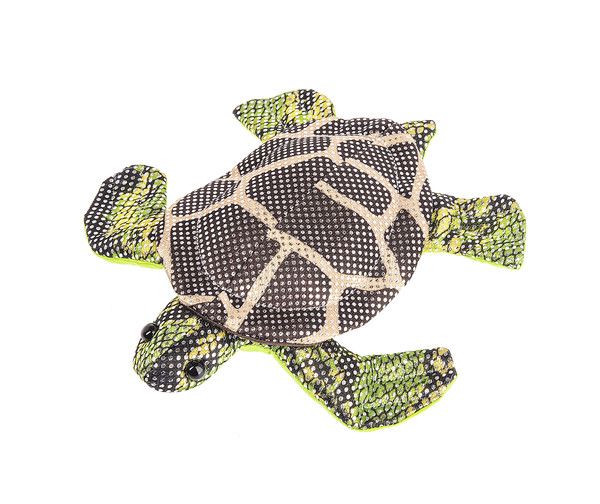 Rainforest Animals- Turtle