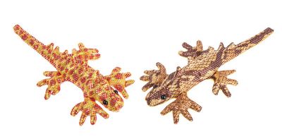 Rainforest Animals- Lizard