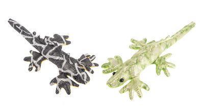 Rainforest Animals- Lizard