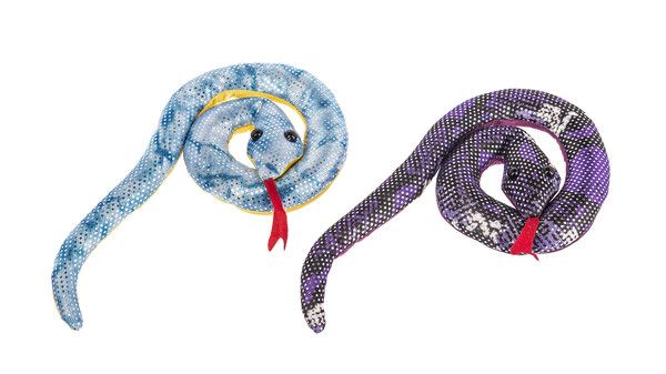 Rainforest Animals- Snake