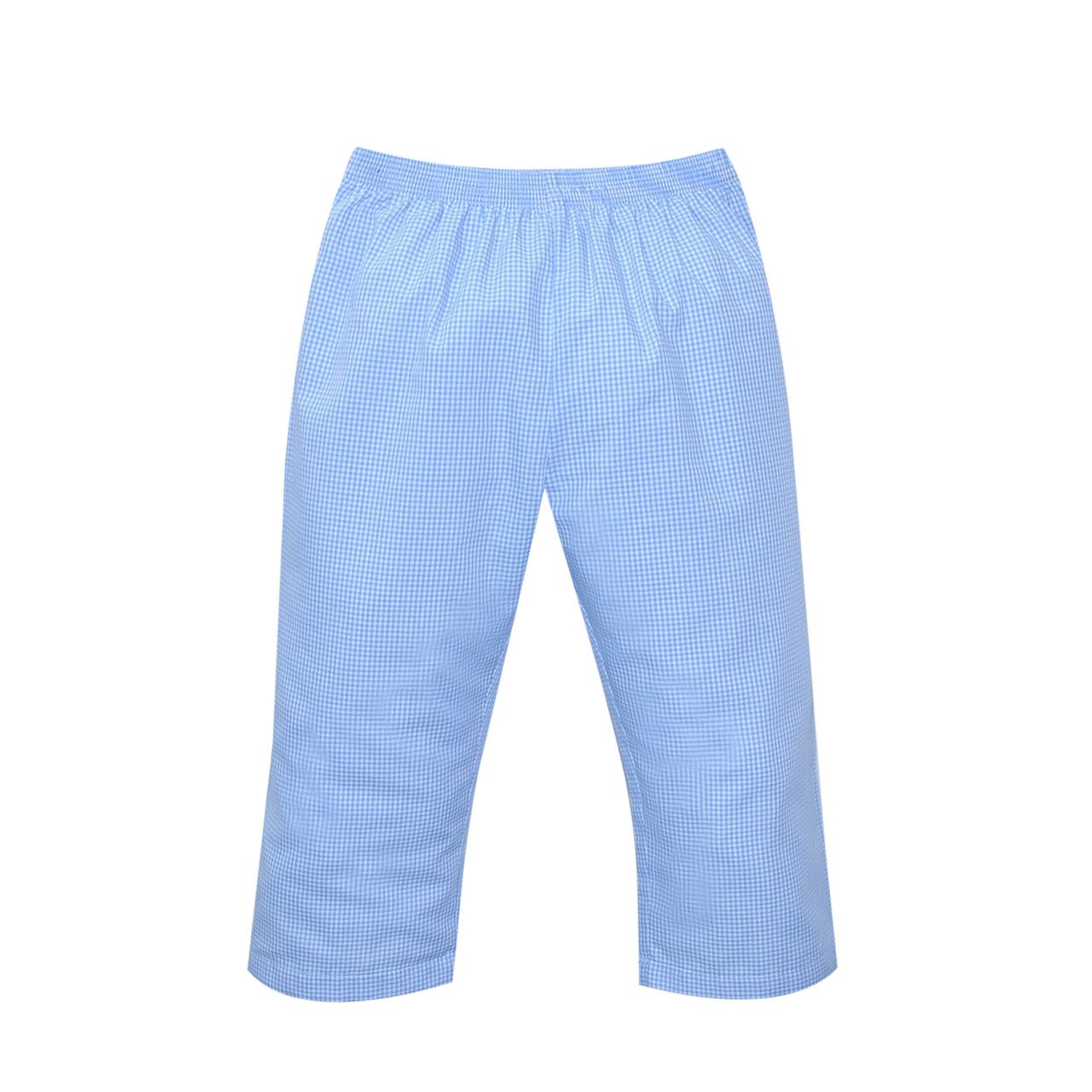 Blue Gingham Jackson Pant