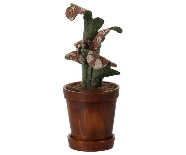 Flower Pot with Plant