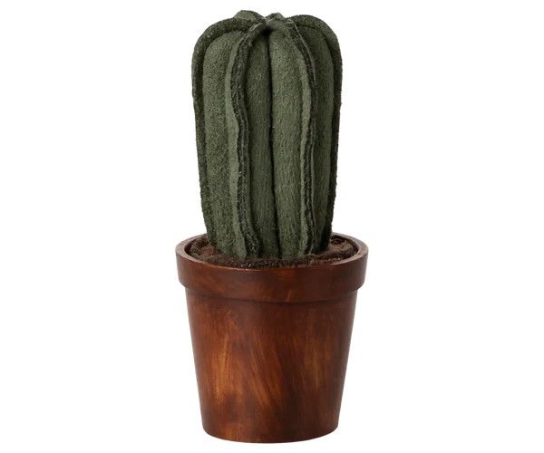 Flower Pot with Cactus