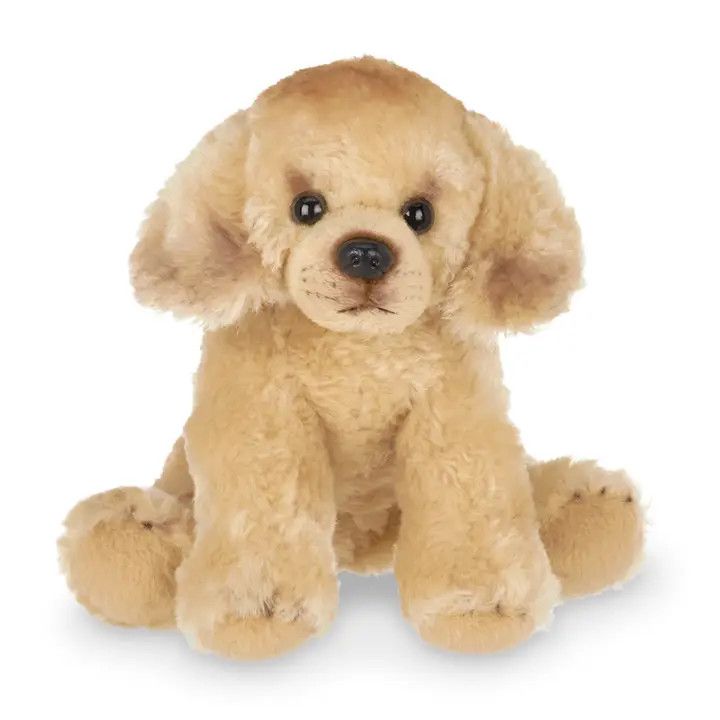 Lil&#39; Goldie the Golden Retriever
