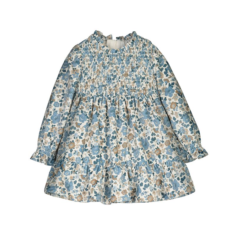 Bluebell Printed Velvet dress