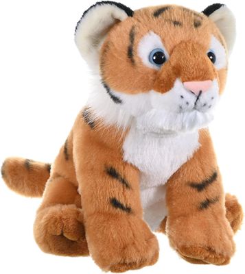 Tiger Cub