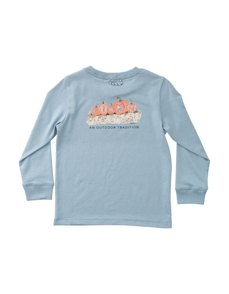 LS Cotton T-Shirt, Ashley Blue