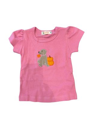 Pink Top, Lab, Pumpkins and Leaves