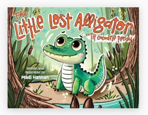 The Little Lost Alligator