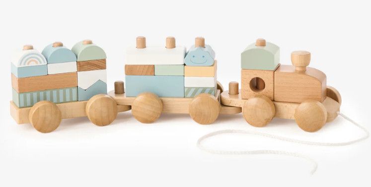 Wooden Push Toy Train