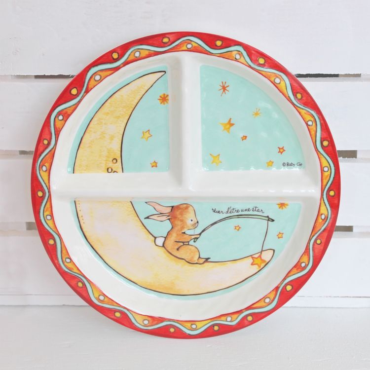 Section Plate. Rabbit