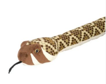 Snake, Western Diamondback