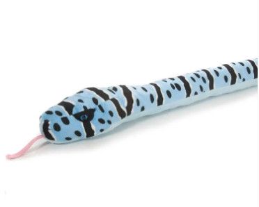 Snake,  Blue Rock Rattlesnake