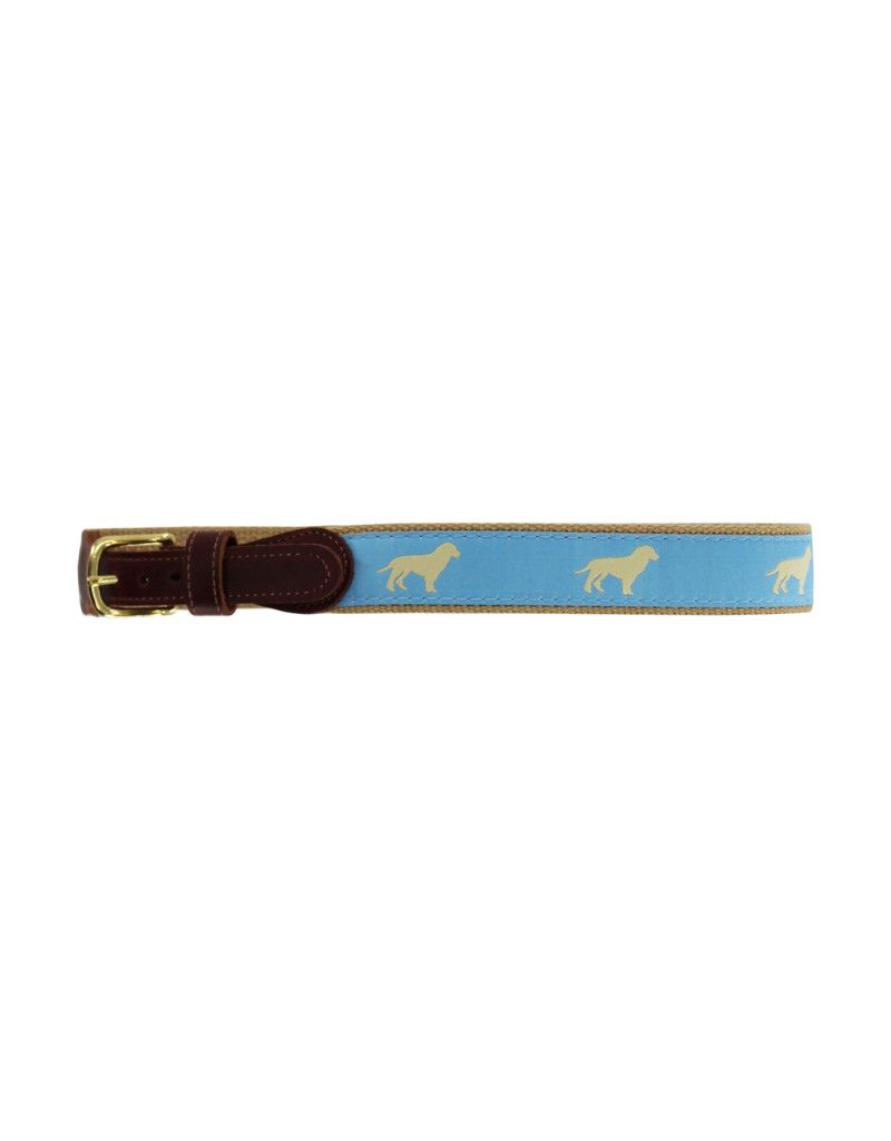 Bailey Boys Buddy Lt. Blue Golden Dog Belt