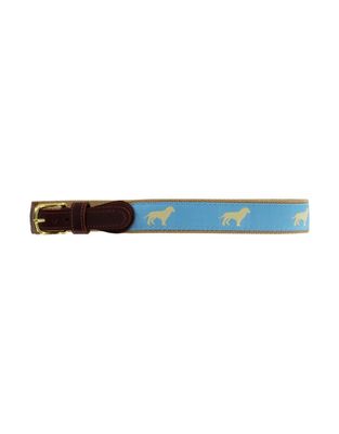 Bailey Boys Buddy Lt. Blue Golden Dog Belt