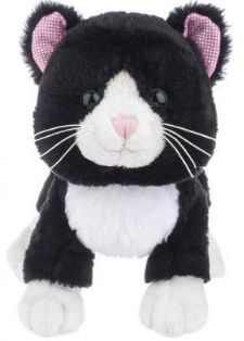 Webkins Black and White Cat