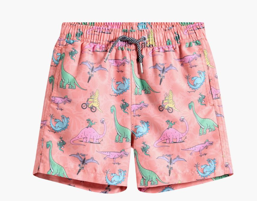 Dino Riders Swim Short