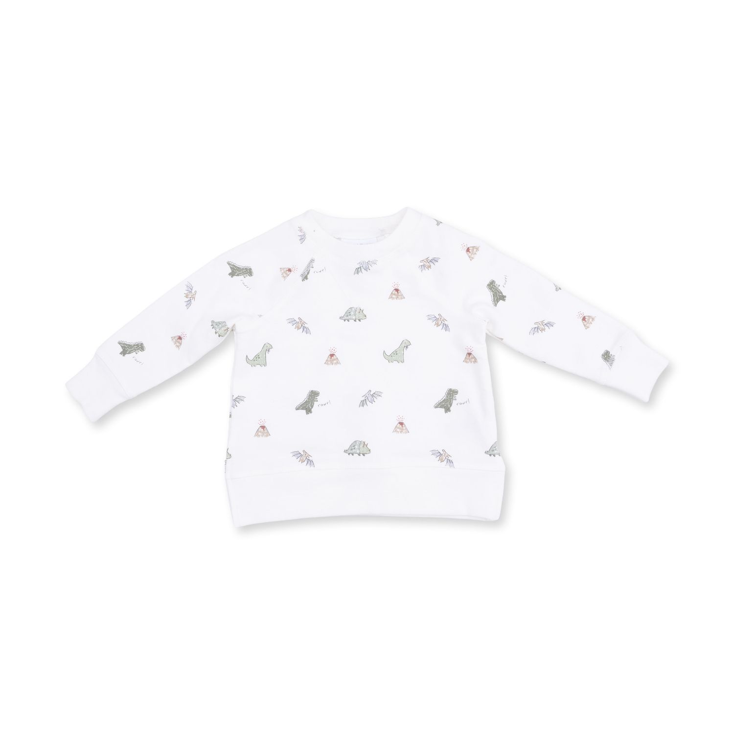 Dinos French Terry - Raglan Sweatshirt