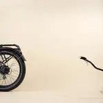 Rad Power Accessories - Rad Trailer