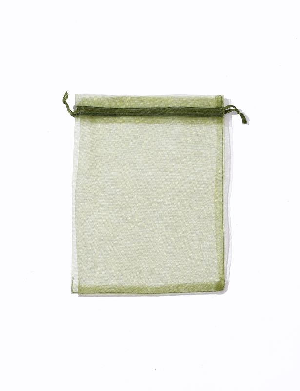 OR080 Olive