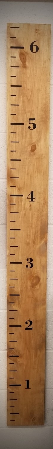 GROWTH RULER KIT  (7&quot; x 72 &quot;)-*