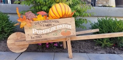 CUSTOM WHEELBARROW PLANTER ( 14 x 40&quot;)*