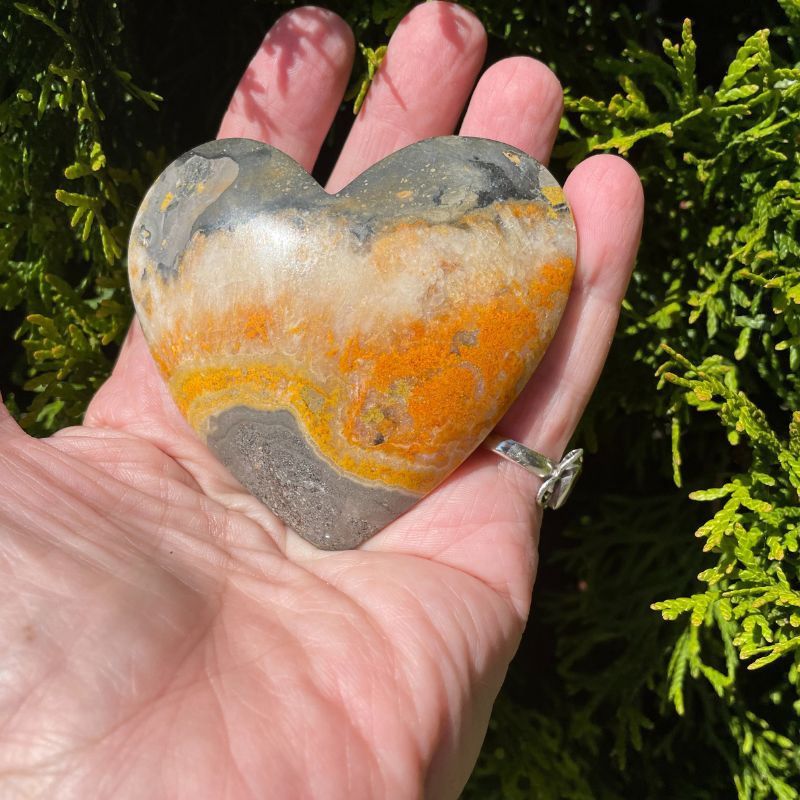 Bumble Bee Heart