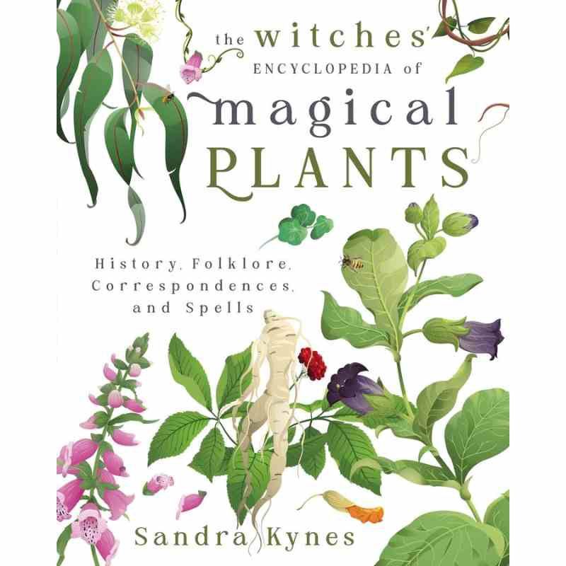 The Witches  Encyclopedia Of Magical Plants