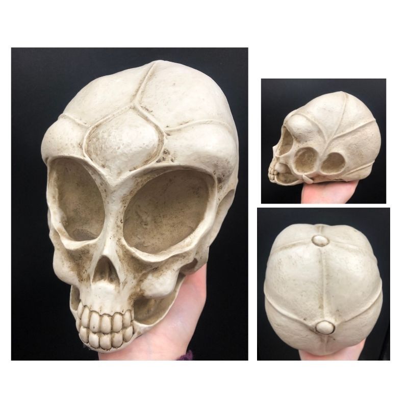 Alien Skull