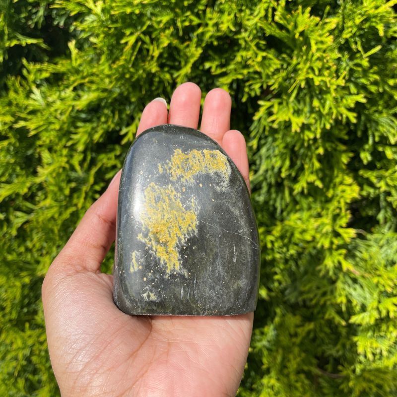 Bumble Bee Free Form A