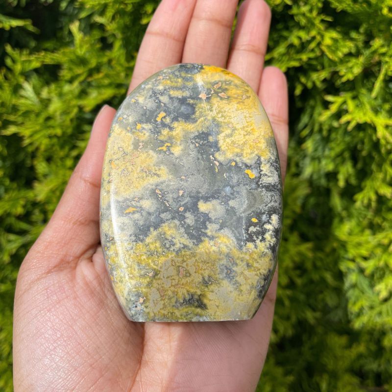 Bumblebee Freeform