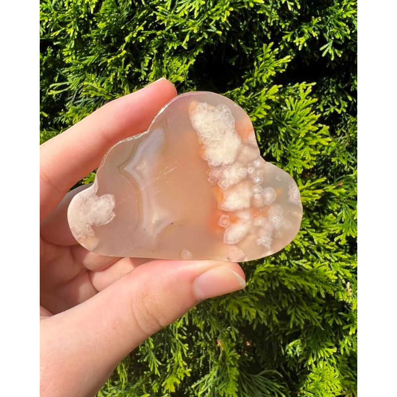 Flower Agate Cloud