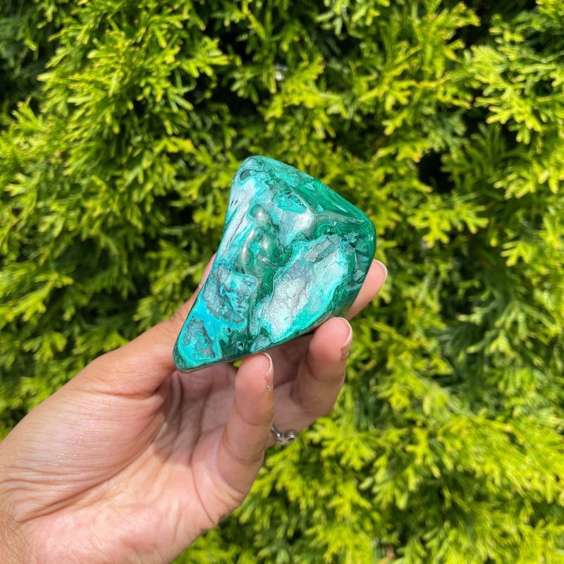 Malacolla Free Form $28