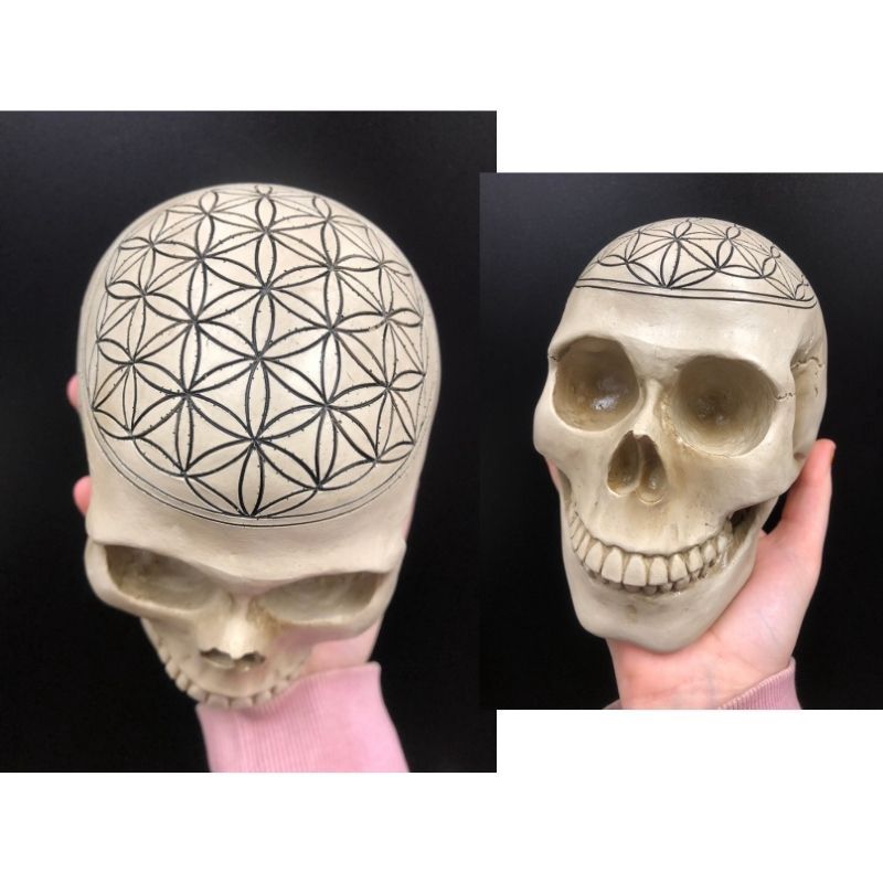 Flower Of Life Skull