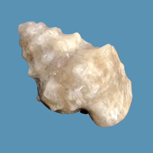 Moonstone Shell