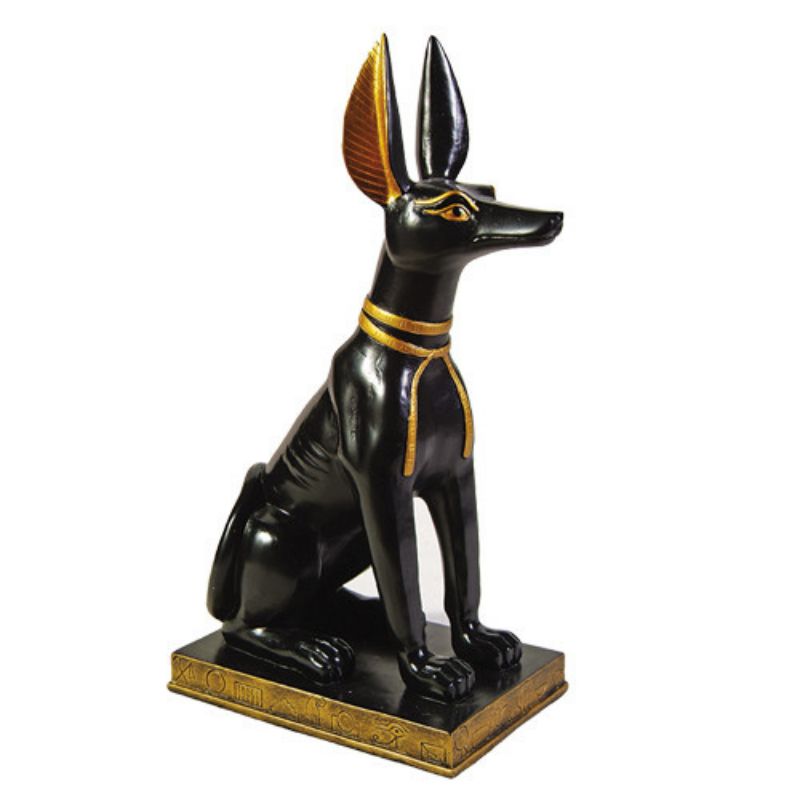 Anubis 7712