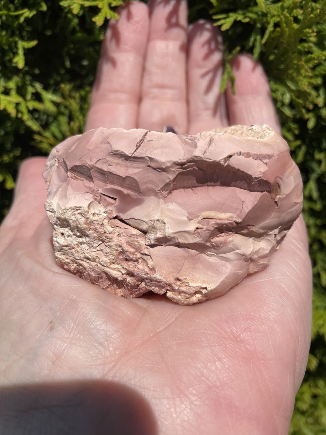 Swazi Agate
