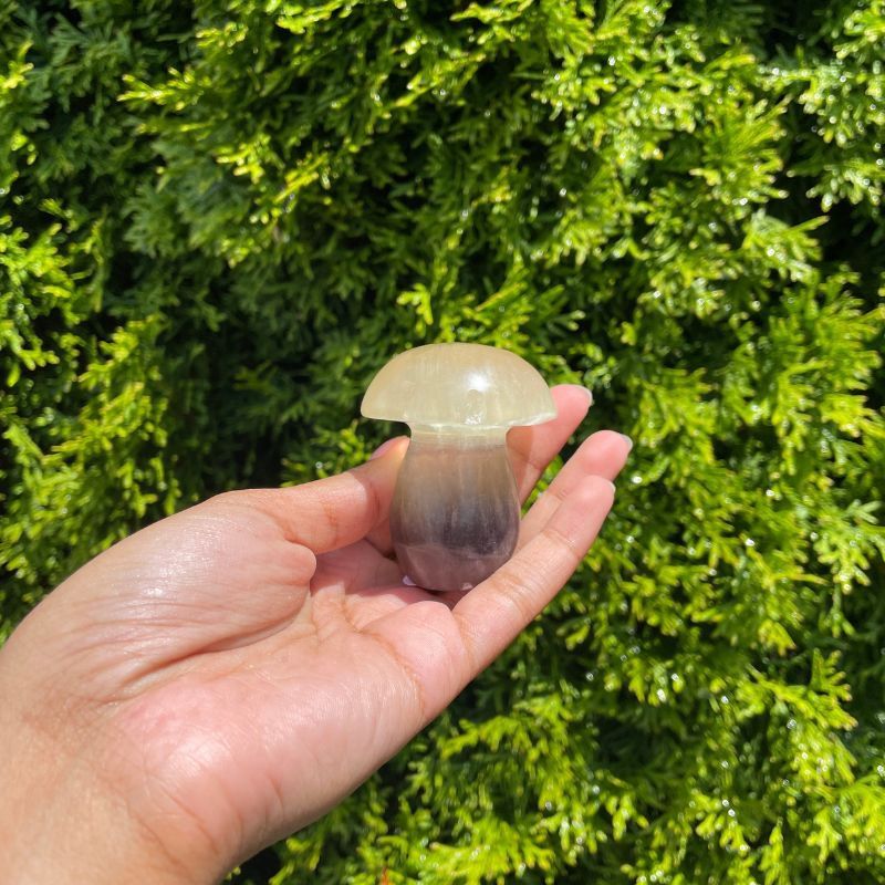Calcite Mushroom