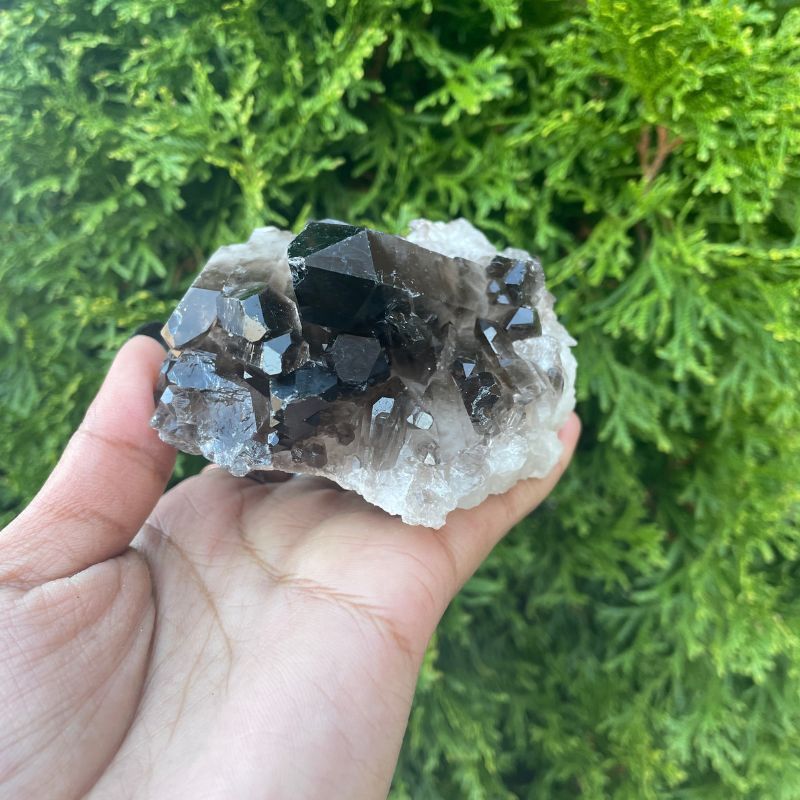 Smoky Quartz Cluster  21